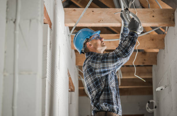 Best Home Electrical Repair  in Crystal Lawns, IL